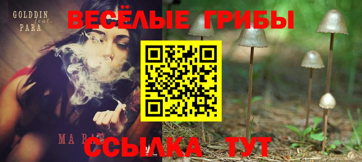 Галлюциногенные грибы мицелий  Вход с VPN  купить наркотик  Котельники 